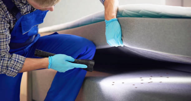 Best Termite Control Services  in Goodyear, AZ