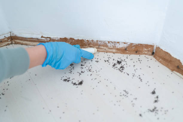 Best Pest Prevention Services  in Goodyear, AZ
