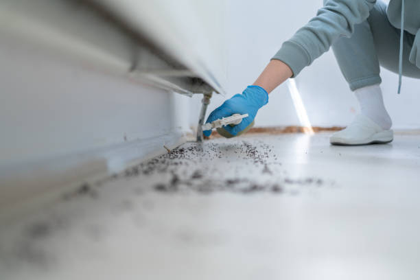 Best Affordable Pest Control Services  in Goodyear, AZ