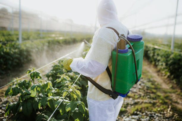 Best Exterminator Services  in Goodyear, AZ